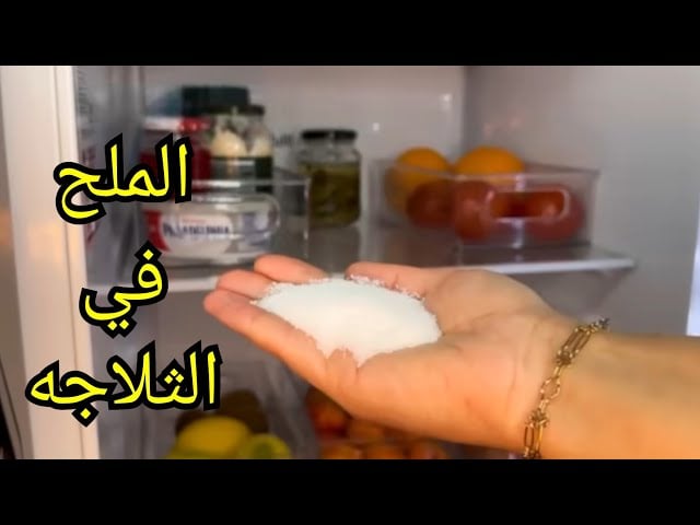 هذا ماذا يحدث عند وضع الملح في الثلاجة لو عرفتم السر لفعلتم ذلك الشيء يوميا