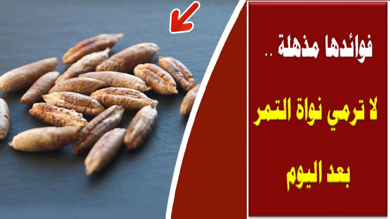  نواه التمر ضاع عمرنا منعرفش فوائده من اليوم مش هتستغني عنه استخدامات وفوائد رهيبة