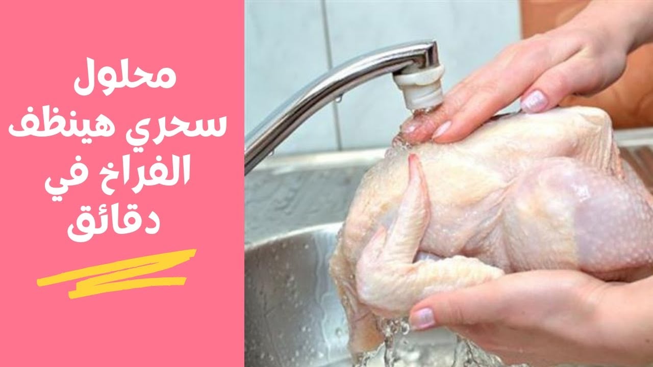 طرق تنظيف الدجاج من الزفارة