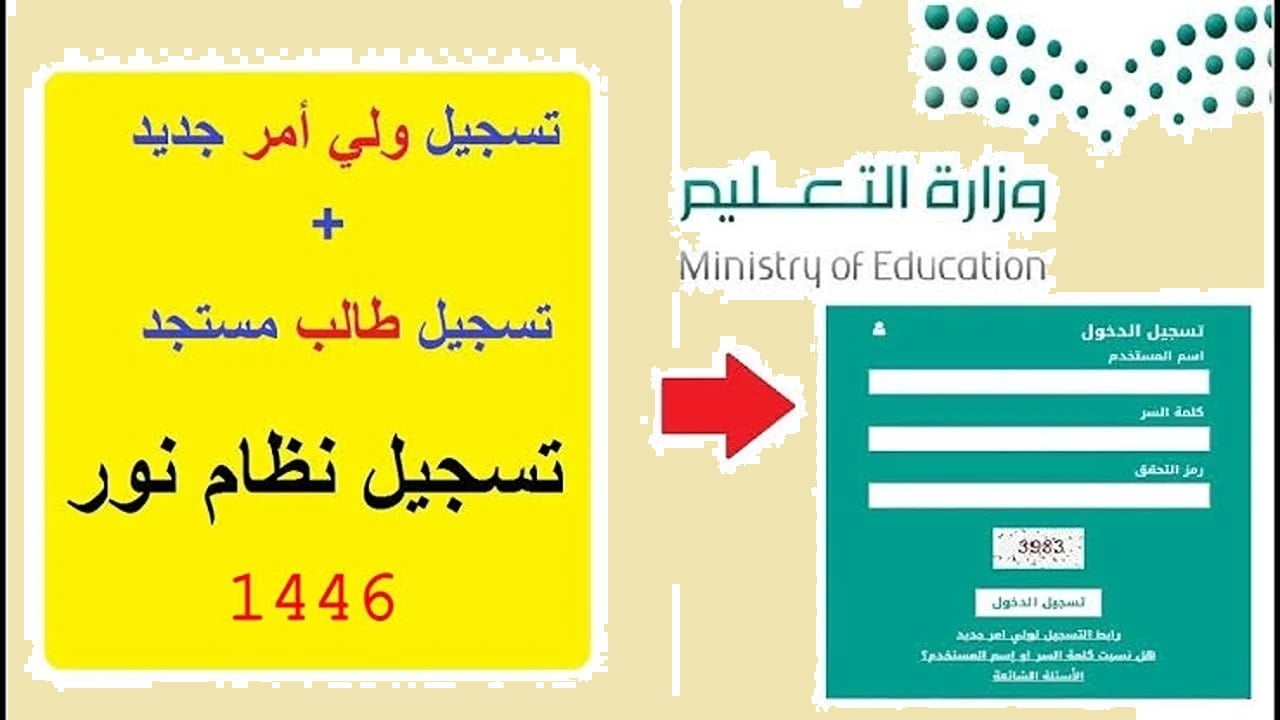 نظام نور تخفيض طيران: كل ما تحتاج معرفته للحصول على أفضل العروض