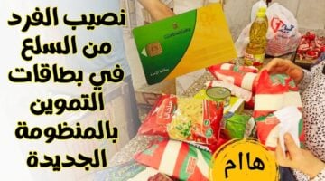 حصة الفرد في التموين