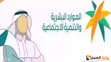 نهي579